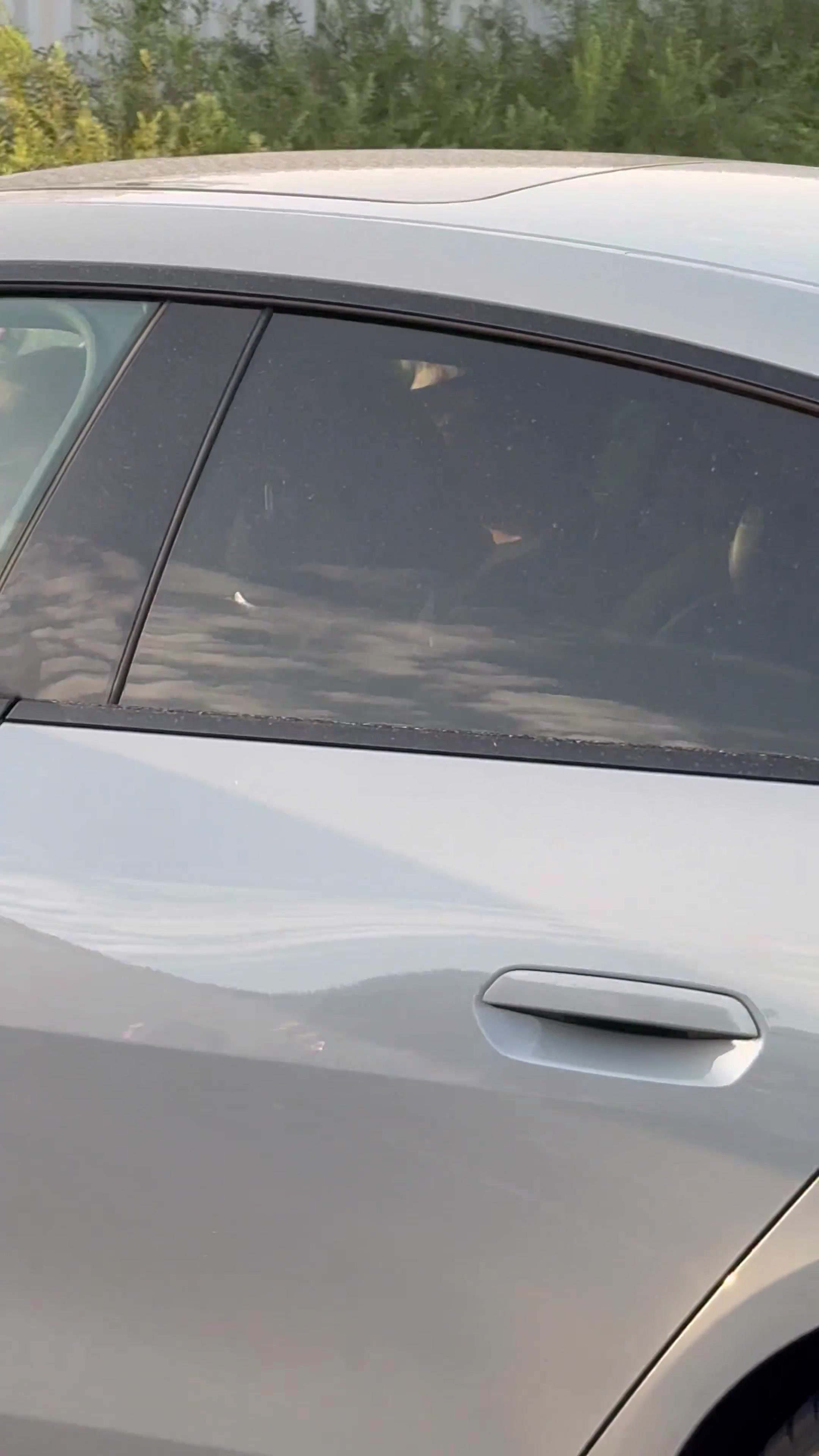 开云体育-记者：马斯坦托诺驾车抵达皇马训练基地，即将参加球队首次训练